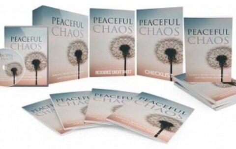 Peaceful Chaos_640x332