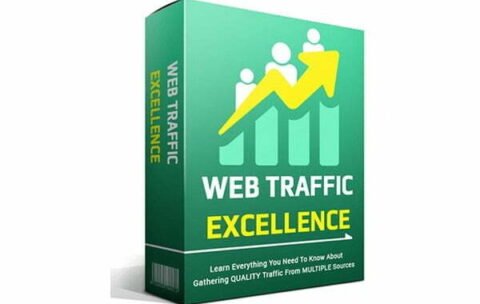 Web-Traffic-Excellence_600x394